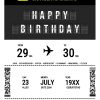 Meilensteintafel Geschenk 30. Geburtstag Aviation Flughafen Für Piloten Reise Weltenbummler Birthday Boarding Pass No 1